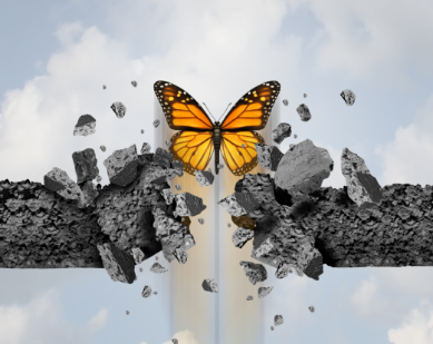AdobeStock_192920881