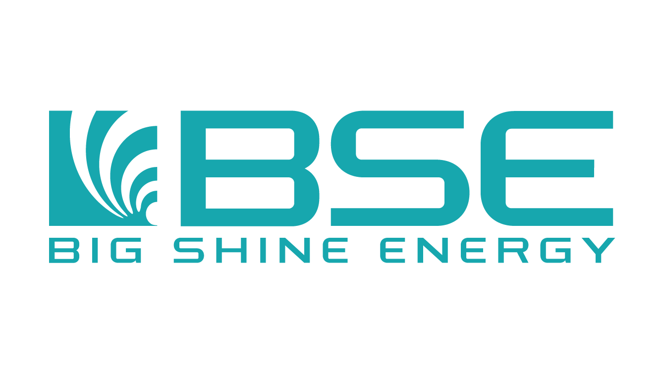 BIGSHINE Online Brand Arch - Asset Templates_Logo 3 copy